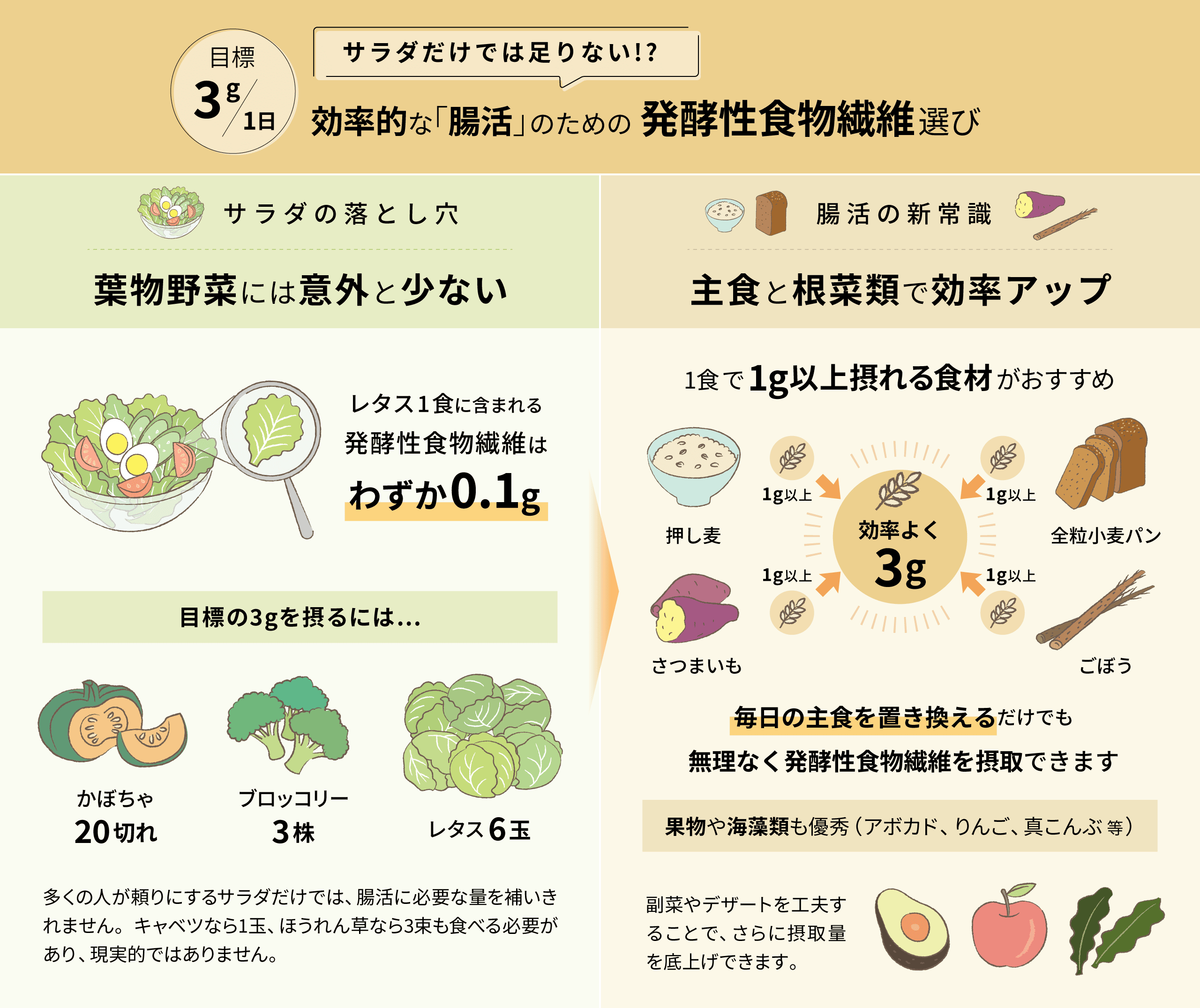 発酵性食物繊維選び