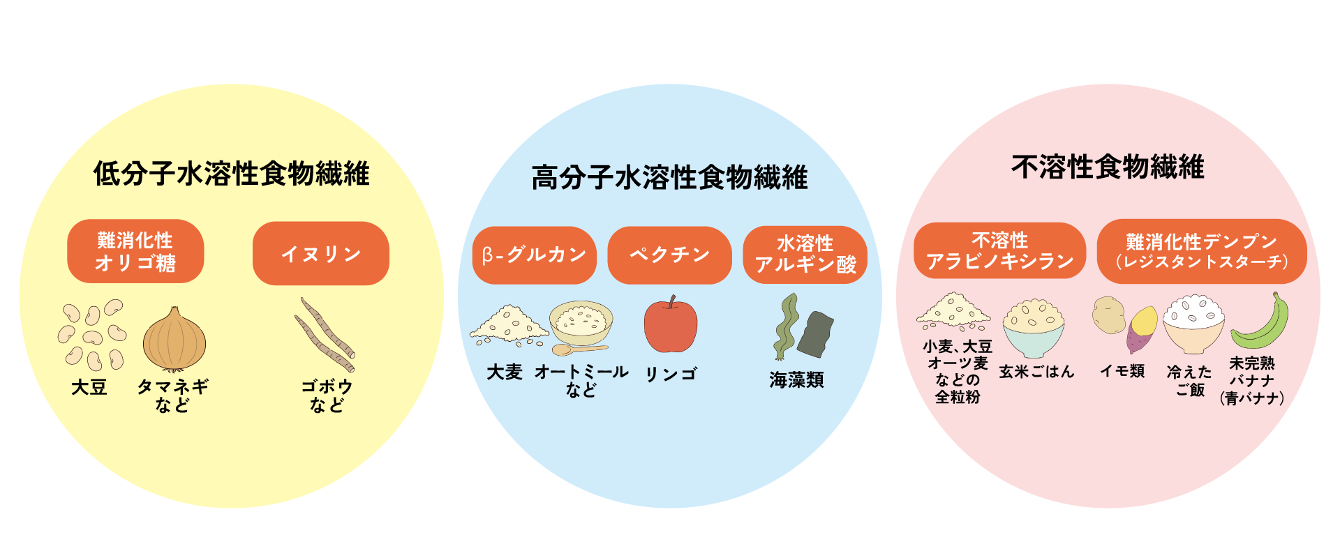 のエサになる発酵性食物繊維の種類の図